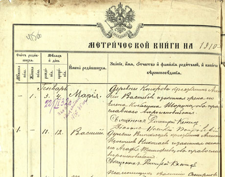 Николаевы, д. Винокосцы, д. Инокосцы, д. Новокосцы Вязниковского (Гороховецкого) уезда Владимирской губернии