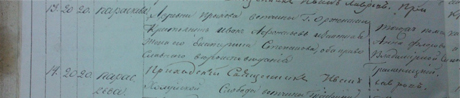 Прасковья Иванова, д. Ирыхова, Вязниковского уезда, Владимирской губернии