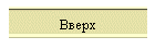 Вверх